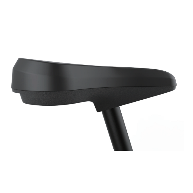 saddle